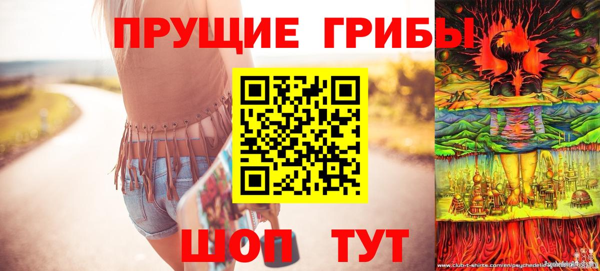 Псилоцибиновые грибы Psilocybe Ялуторовск