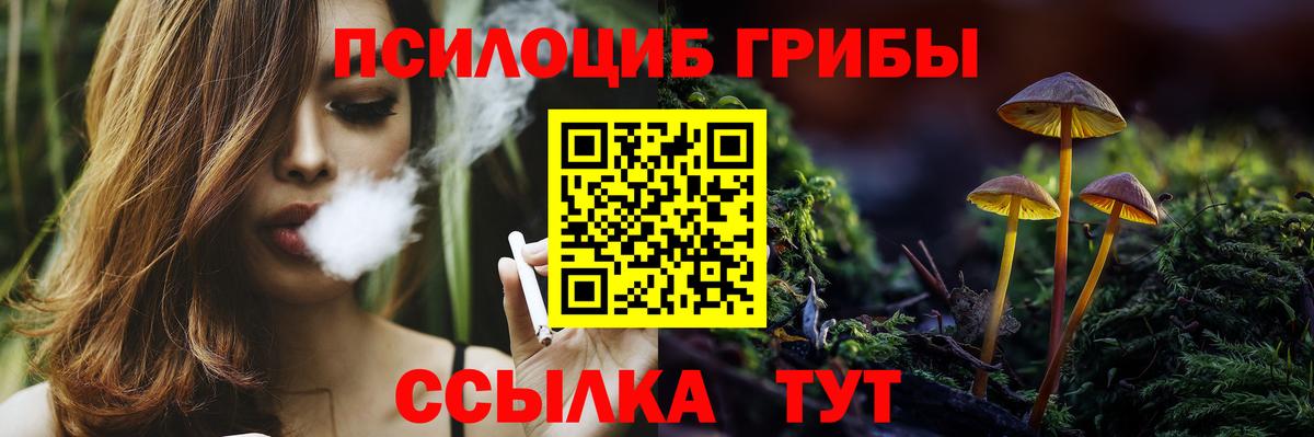 Галлюциногенные грибы MAGIC MUSHROOMS  Вход с VPN  Ялуторовск  Галлюциногенные грибы мухоморы 